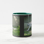 Weiße Tiger Zweifarbige Tasse (Mittel)