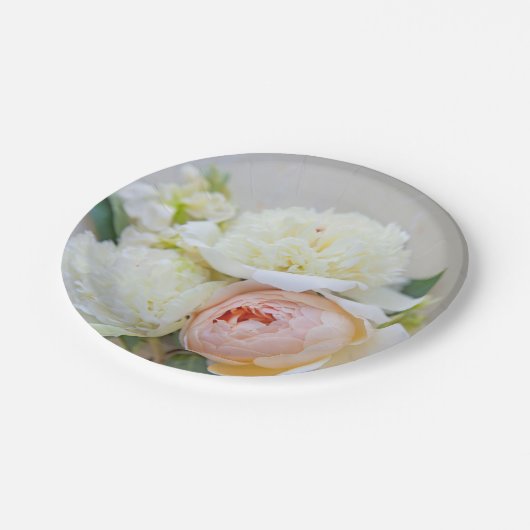 Weiße Torfbäume mit aprikotfarbener Rose Pappteller (Schrägansicht)