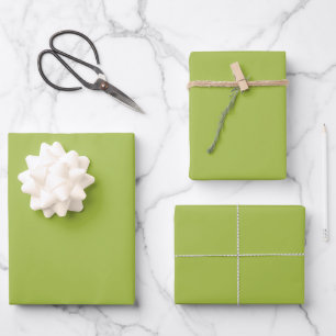 Weiße Traube Grüne Frühlingszeit Einheitliche Farb Geschenkpapier Set