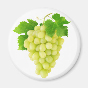 Weiße Traube Magnet