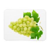 Weiße Traube Magnet (Horizontal)