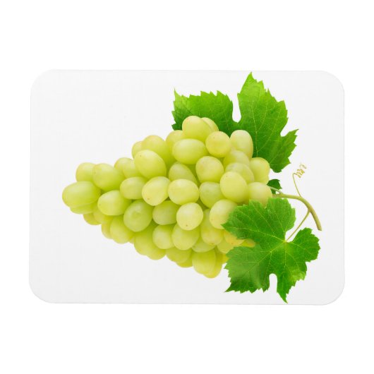 Weiße Traube Magnet (Horizontal)