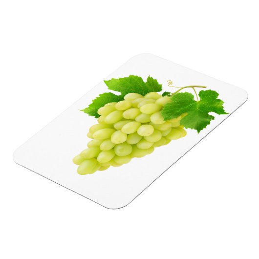 Weiße Traube Magnet (Linke Seite)