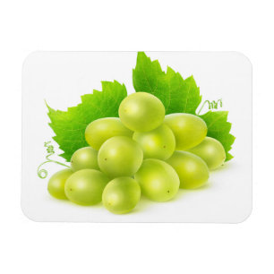 Weiße Trauben Magnet