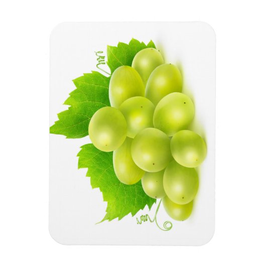 Weiße Trauben Magnet (Vertikal)