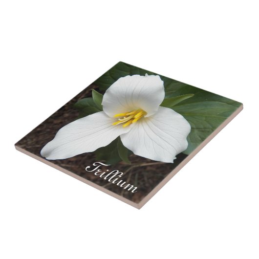 Weiße Trillium-Blume Fliese (Seite)