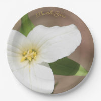 Weiße Trillium-Blume Große Papierplatte