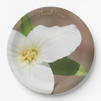 Weiße Trillium-Blume Große Papierplatte Pappteller