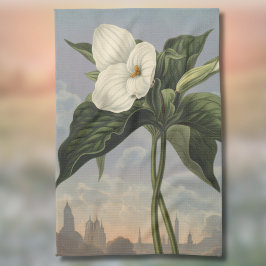 Weiße Trillium-Blume im Stil des Temple of Flora Geschirrtuch