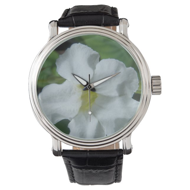 Weiße tropische Blume auf Fidschi Armbanduhr (Vorderseite)