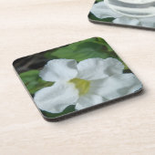 Weiße tropische Blume auf Fidschi Getränkeuntersetzer (Linke Seite)