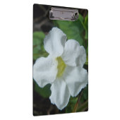 Weiße tropische Blume auf Fidschi Klemmbrett (Rechts)