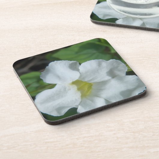 Weiße tropische Blume auf Fidschi Untersetzer (Linke Seite)