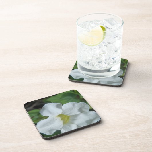 Weiße tropische Blume auf Fidschi Untersetzer (Rechte Seite)