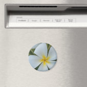 Weiße tropische Blume aus Fidschi Magnet (In Situ (Geschirrspüler))