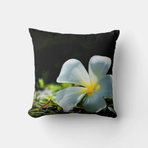 Weiße tropische Blume (frangipani) nah bis 2 Kissen