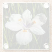 Weiße tropische Blume Glasuntersetzer (Rückseite)