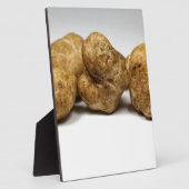 Weiße Trüffel der Art tuber oligospermum. Fotoplatte (Seite)