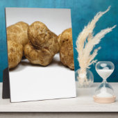 Weiße Trüffel der Art tuber oligospermum. Fotoplatte (Seite)