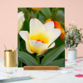Weiße Tulip Acrylschild (Hochzeit)