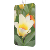 Weiße Tulip Autolufterfrischer (Links)