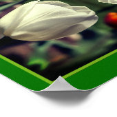 Weiße Tulip-Blume bei Sonnenlicht Abstrakt Poster (Ecke)