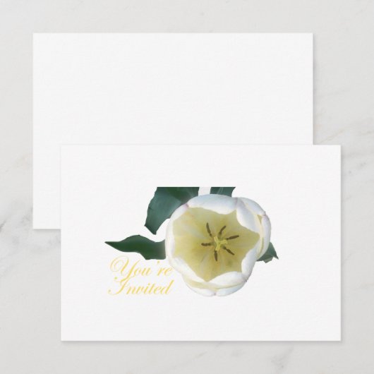 Weiße Tulip INvitation Einladung (Vorne/Hinten)