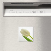 Weiße Tulip Magnet (In Situ (Geschirrspüler))