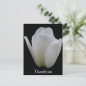 Weiße Tulip Postkarte (Stehend Vorderseite)
