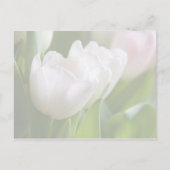 Weiße Tulips Save the Date Postkarte (Rückseite)