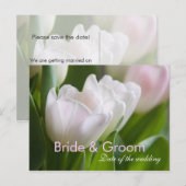 Weiße Tulips Save the Date Postkarte (Vorne/Hinten)