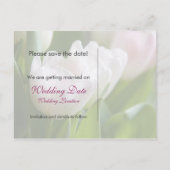 Weiße Tulips Save the Date Postkarte (Rückseite)