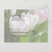 Weiße Tulips - UAWG Postkarte (Rückseite)