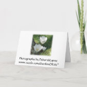 Weiße Tulips-Verlobung Karte (Rückseite)