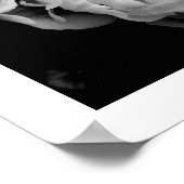 Weiße Tulissen auf schwarzem Hintergrund Poster (Ecke)