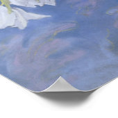 Weiße Tulissen Poster (Ecke)