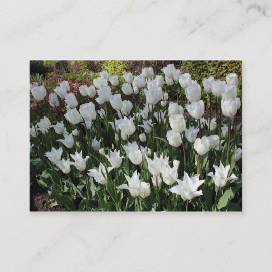 Weiße Tulissen Visitenkarte (Vorderseite)