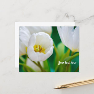 Weiße Tulpen-Grußkarte Feiertagspostkarte