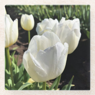Weiße Tulpen in einem Feld, Waldbrand, Oregon Glasuntersetzer