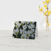 Weiße Tulpen Karte (Gelbe Blume)