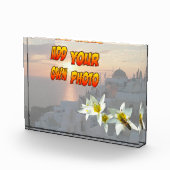 Weiße Tulpen mit Bienenblock Fotoblock (Rechts)