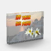 Weiße Tulpen mit Bienenblock Fotoblock (Links)