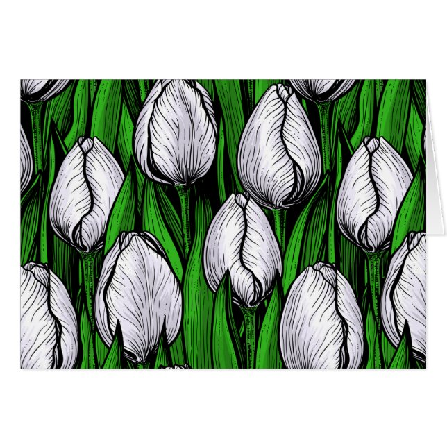 Weiße Tulpen mit grünen Blätter (Vorderseite (Horizontal))