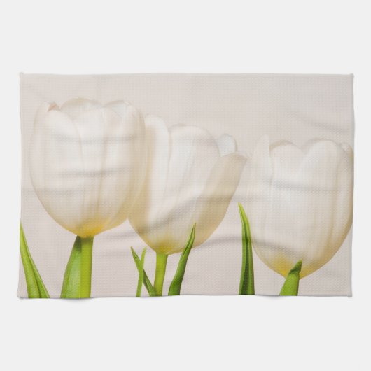 Weiße Tulpen mit weißem Hintergrund, Geschirrtuch (Horizontal)