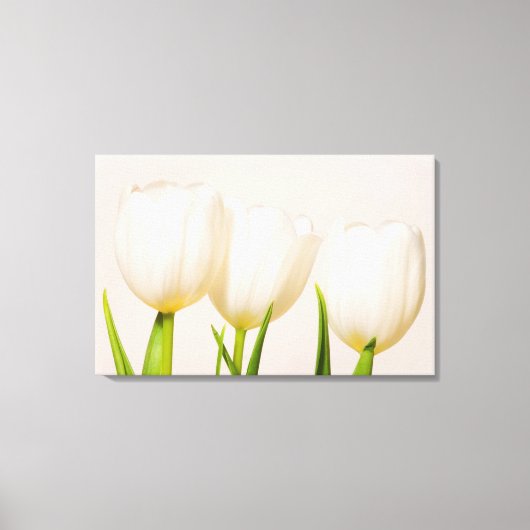 Weiße Tulpen mit weißem Hintergrund, Leinwanddruck (Vorderseite)