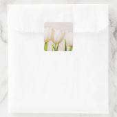 Weiße Tulpen mit weißem Hintergrund, Quadratischer Aufkleber (Tasche)