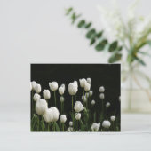 Weiße Tulpen Postkarte (Stehend Vorderseite)