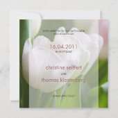 Weiße Tulpen • Save-the-Date-Postkarte Save The Date (Rückseite)