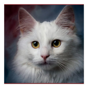 Weiße Türkische Angora-Katze Rot Blau Poster