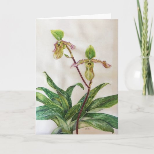 Weiße Umschläge der Orchideen (5" x 7") schließen Karte (Vorderseite)